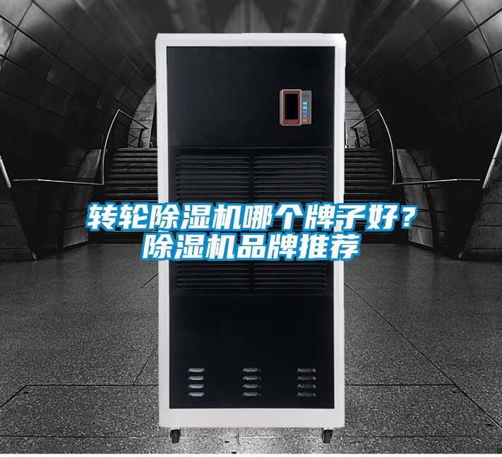 轉輪除濕機哪個牌子好？除濕機品牌推薦