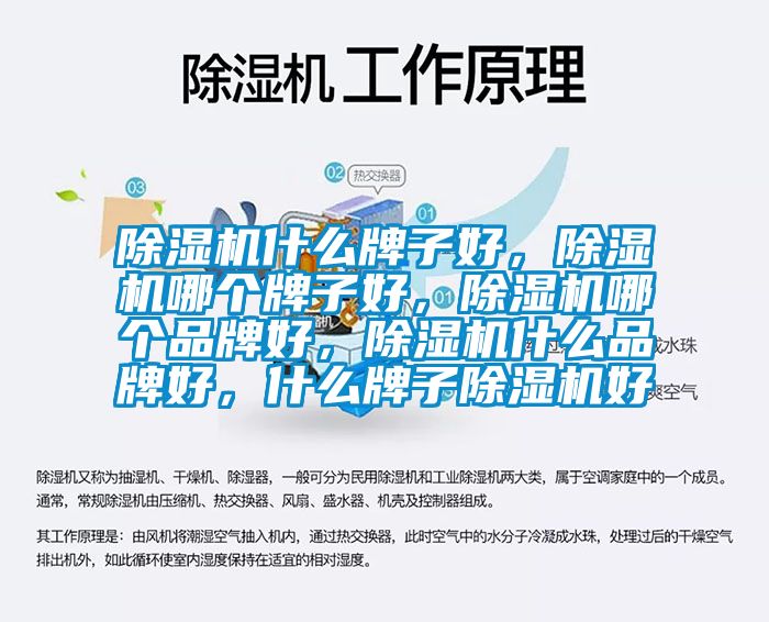 除濕機(jī)什么牌子好，除濕機(jī)哪個(gè)牌子好，除濕機(jī)哪個(gè)品牌好，除濕機(jī)什么品牌好，什么牌子除濕機(jī)好