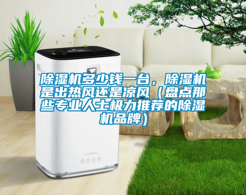 除濕機多少錢一臺，除濕機是出熱風還是涼風（盤點那些專業人士極力推薦的除濕機品牌）