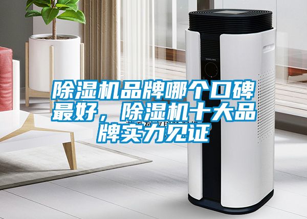 除濕機(jī)品牌哪個(gè)口碑最好，除濕機(jī)十大品牌實(shí)力見(jiàn)證