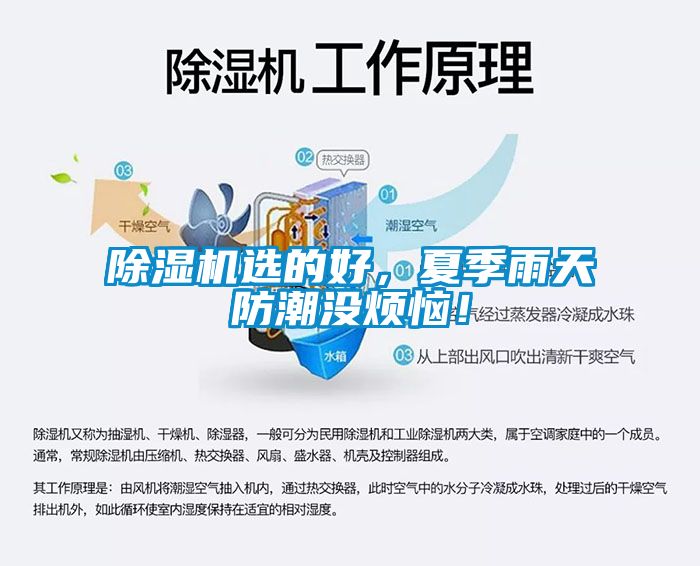 除濕機選的好，夏季雨天防潮沒煩惱！