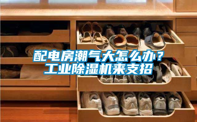 配電房潮氣大怎么辦？工業除濕機來支招