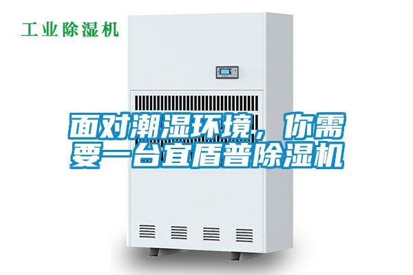 面對潮濕環境，你需要一臺宜盾普除濕機