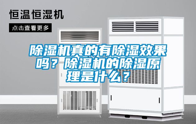 除濕機真的有除濕效果嗎？除濕機的除濕原理是什么？