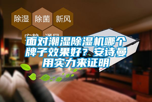 面對潮濕除濕機哪個牌子效果好？安詩曼用實力來證明