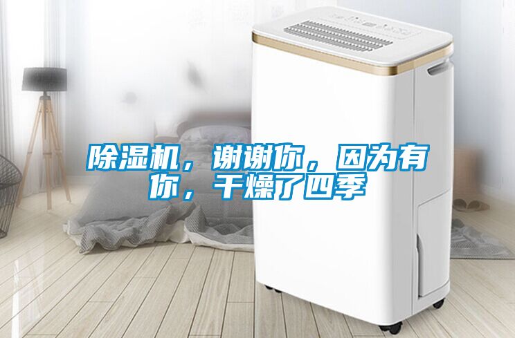 除濕機(jī)，謝謝你，因?yàn)橛心?，干燥了四?/></p>
						    <p style=
