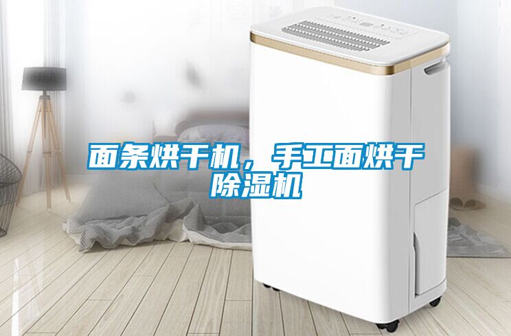 面條烘干機，手工面烘干除濕機