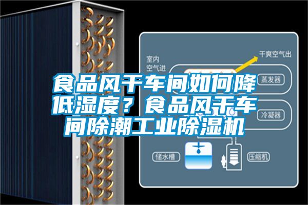 食品風干車間如何降低濕度？食品風干車間除潮工業除濕機