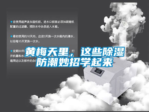 黃梅天里，這些除濕防潮妙招學起來
