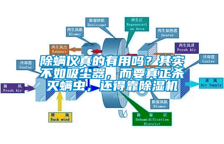 除螨儀真的有用嗎？其實(shí)不如吸塵器，而要真正殺滅螨蟲(chóng)，還得靠除濕機(jī)